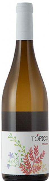 2024 Bodegas La Remediadora -Topico - Vino Blanco - DO - Moscatel - lieblich - 0,75 L