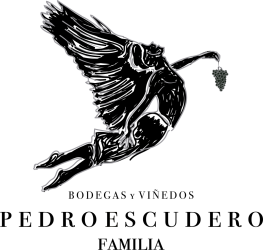 2023  Bodegas Pedro Escudero - Valdelagunde - Cuvée Especial - VT - Castilla y León - 0,75 L